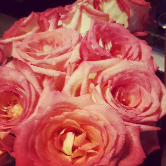 Meet your Posher, Amy - Picture 1 of 2